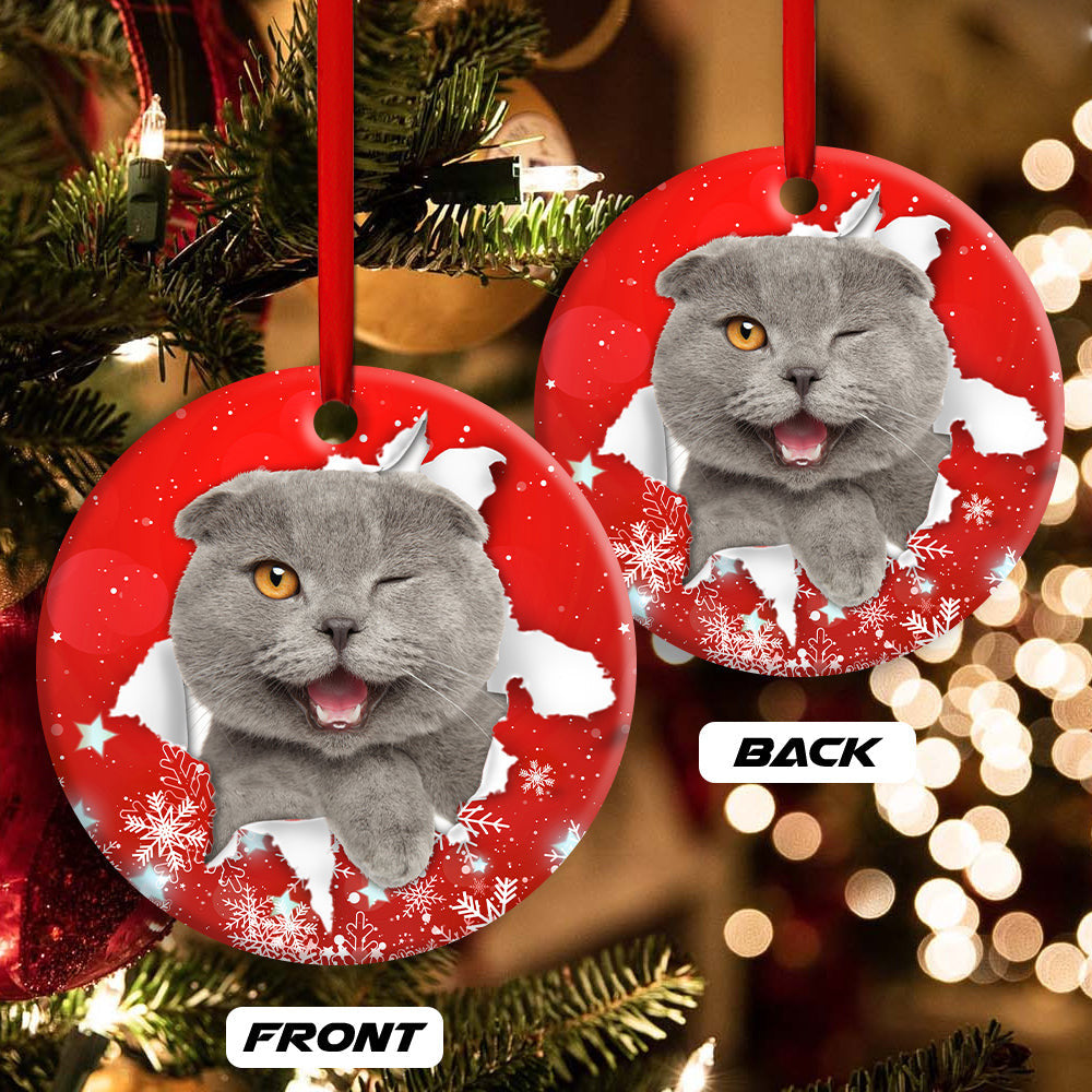 Christmas Cat Funny Kitten Red Background Winter Snowy Ornament 2