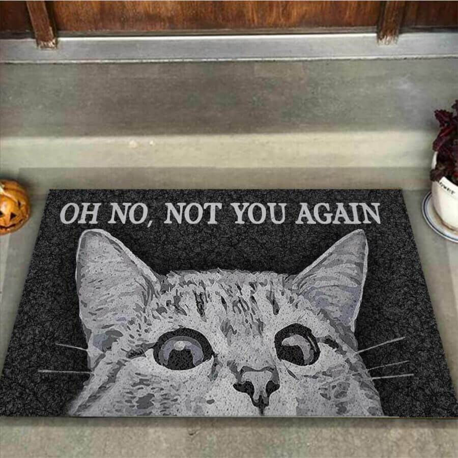 Cat Easy Clean Welcome DoorMat 4