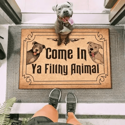 Cat Funny Easy Clean Welcome DoorMat