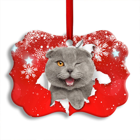 Cat Funny Kitten Red Background Winter Snowy Ornament