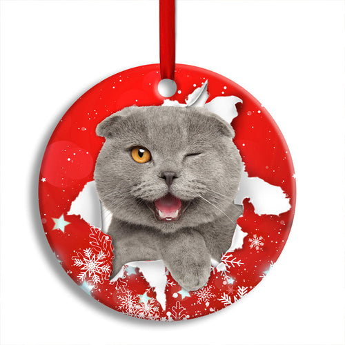Christmas Cat Funny Kitten Red Background Winter Snowy Ornament