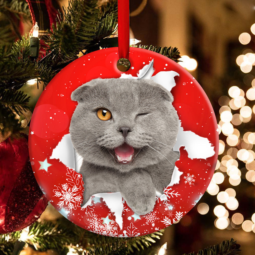 Christmas Cat Funny Kitten Red Background Winter Snowy Ornament 1