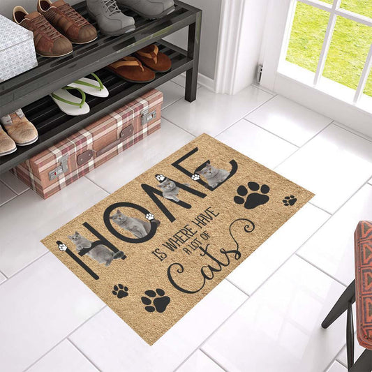 Home Is Where Have A Lot Of Cat DoorMat