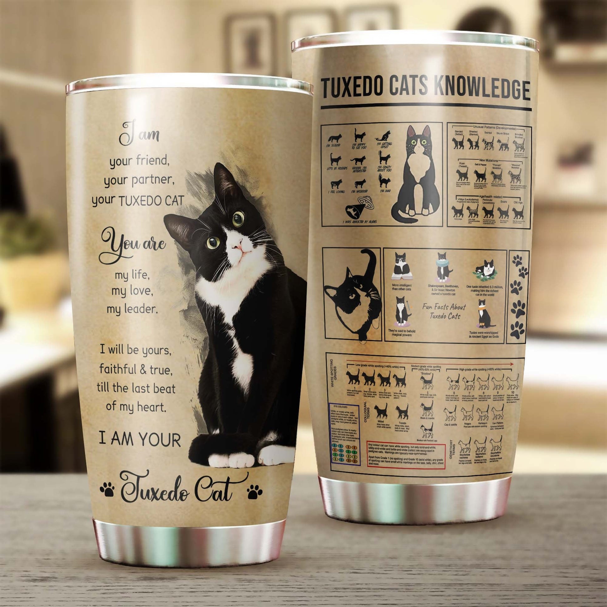 Tuxedo Cat Knowledge Tumbler